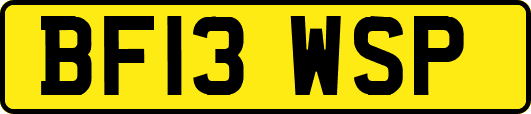 BF13WSP