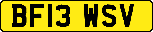 BF13WSV