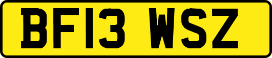 BF13WSZ
