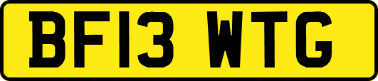 BF13WTG