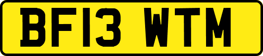BF13WTM