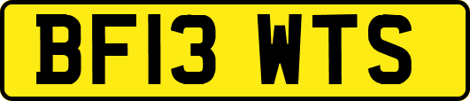 BF13WTS