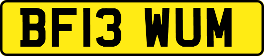 BF13WUM