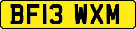 BF13WXM