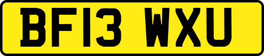BF13WXU