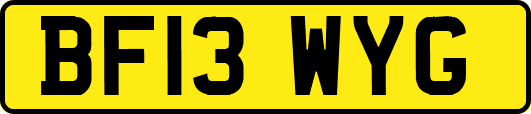 BF13WYG