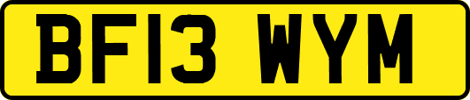 BF13WYM