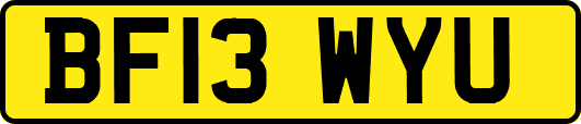 BF13WYU