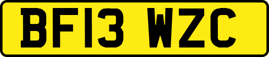 BF13WZC