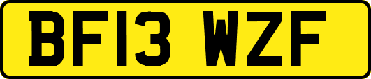 BF13WZF