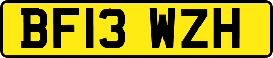 BF13WZH