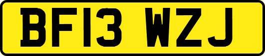 BF13WZJ