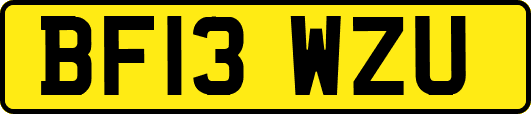 BF13WZU
