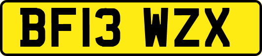 BF13WZX