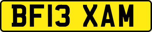 BF13XAM