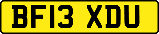BF13XDU