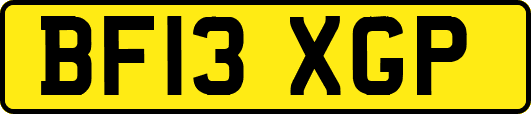 BF13XGP
