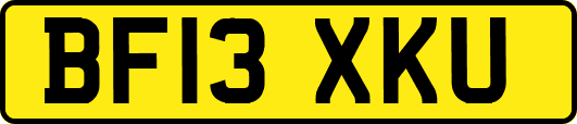 BF13XKU