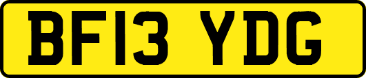 BF13YDG