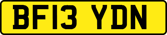 BF13YDN