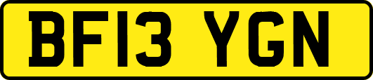 BF13YGN
