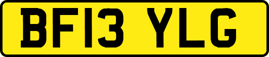 BF13YLG