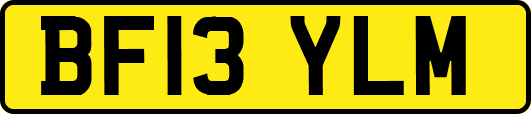 BF13YLM
