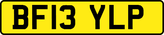 BF13YLP