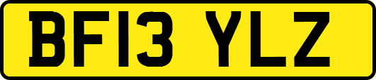 BF13YLZ