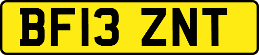 BF13ZNT