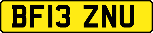 BF13ZNU