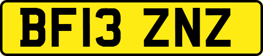 BF13ZNZ