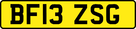 BF13ZSG