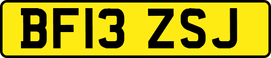 BF13ZSJ