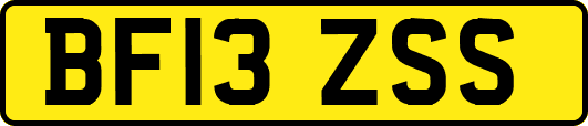 BF13ZSS