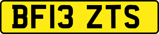 BF13ZTS