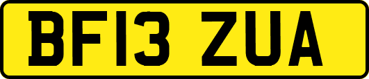 BF13ZUA