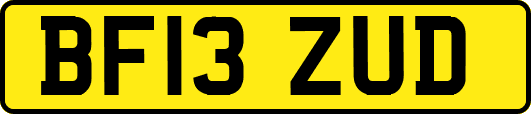 BF13ZUD