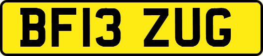 BF13ZUG