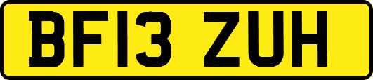 BF13ZUH
