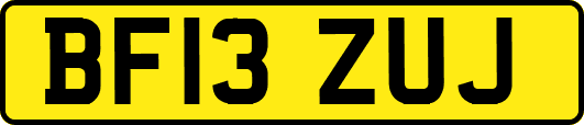 BF13ZUJ