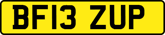 BF13ZUP