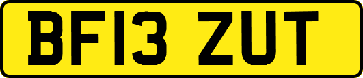 BF13ZUT