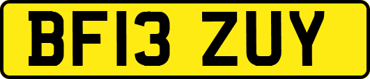 BF13ZUY