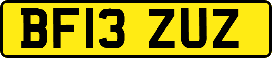 BF13ZUZ