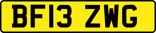 BF13ZWG