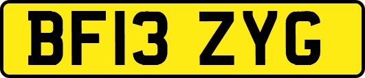 BF13ZYG