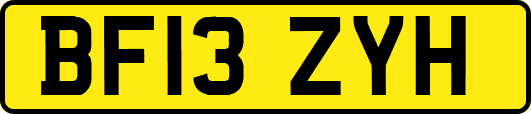 BF13ZYH