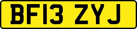 BF13ZYJ