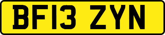 BF13ZYN